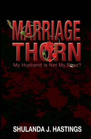 Cover of the book Marriage Thorn; My Husband Is Not My Boaz? by David DeVowe