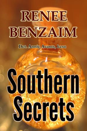 Book cover of Southern Secrets