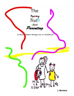 Book cover of The Funny Truth about Parenting (A Black Mother's Birdseye view on Parenthood)