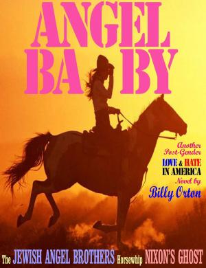 Cover of the book Angel Baby by Erin Evans