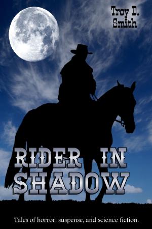 Cover of the book Rider in Shadow by Christiana Miller