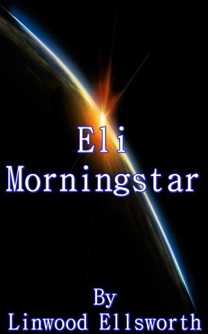 Book cover of Eli Morningstar
