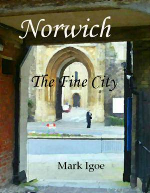 bigCover of the book Norwich: The Fine City by 