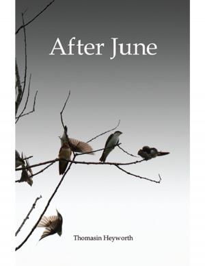 Cover of the book After June by Allen Herrera