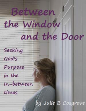 Cover of the book Between the Window and the Door by Hilary J. Dibben B.Sc M.Sc S-LP(C), Anita Kess B.A. M.A. Dip.App.Ling