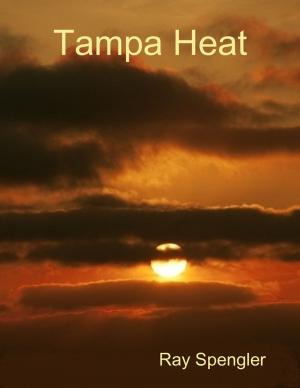 Cover of the book Tampa Heat by Oluwagbemiga Olowosoyo