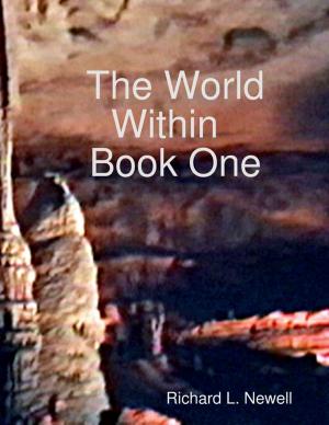 Cover of the book The World Within Book One by Kev Pickering