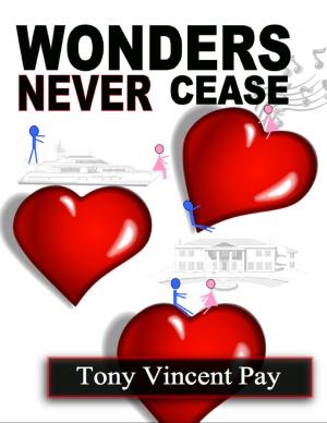 Cover of the book Wonders Never Cease by Tina Long
