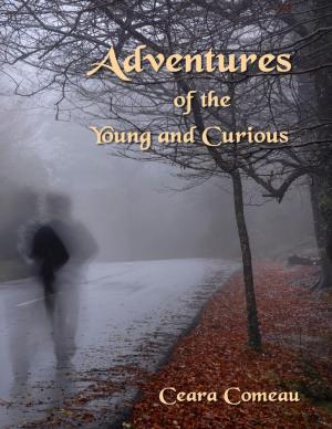 Cover of the book Adventures of the Young and Curious by Daniel Blue
