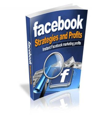 Cover of the book Facebook Strategies and Profits by Crafty Publishing