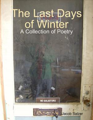 Cover of the book The Last Days of Winter by Valerie Reay