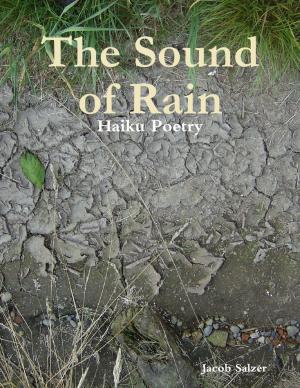 Cover of the book The Sound of Rain by A.C. Wonderland