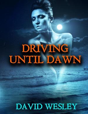 Cover of the book Driving Until Dawn by Edzai Conilias Zvobwo