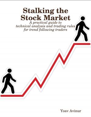 Cover of the book Stalking the Stock Market by Richard Rider, John T. Fuller