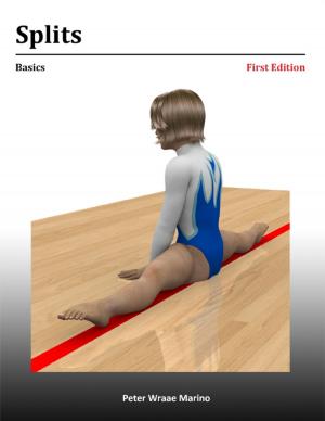 Cover of the book Splits: Basics by Horrified Press