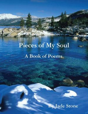 bigCover of the book Pieces of My Soul by 