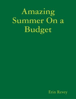 Cover of the book Amazing Summer On a Budget by Matthew Hale