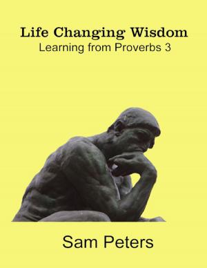Book cover of Life Changing Wisdom