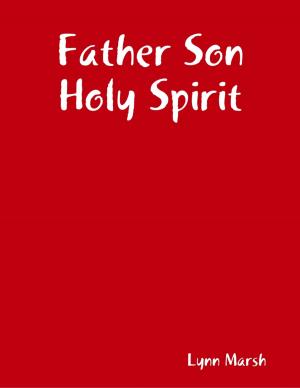Cover of the book Father Son Holy Spirit by Douglas Christian Larsen