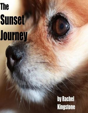 Cover of the book The Sunset Journey by Philippe A. Abdoulaye