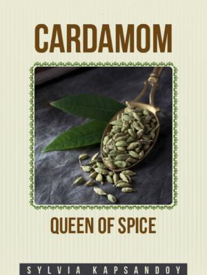Cover of the book Cardamom by Oluwagbemiga Olowosoyo