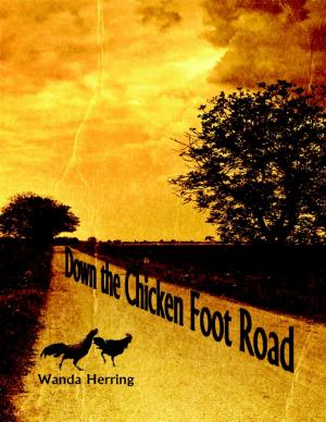 Cover of the book Down the Chicken Foot Road by Oluwagbemiga Olowosoyo