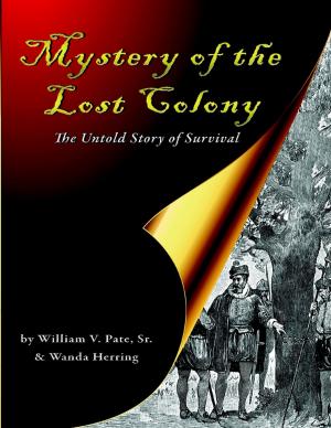 Cover of the book Mystery of the Lost Colony the Untold Story of Survival by Stone Riley