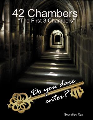 Cover of the book 42 Chambers : The First 3 Chambers by Dariush Dastjerdi