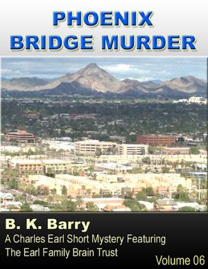Book cover of Phoenix Bridge Murder