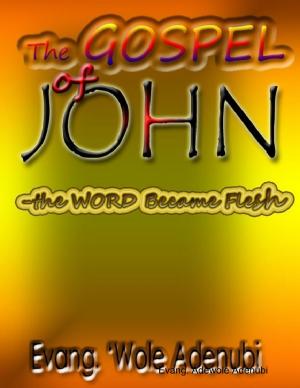 Cover of the book The Gospel of John "-" the Word Became Flesh" by Silver Tonalities