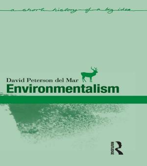Cover of the book Environmentalism by Robert W. Hefner