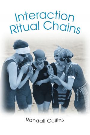 Cover of the book Interaction Ritual Chains by Yo-Yo Ma, Richard P. Feynman