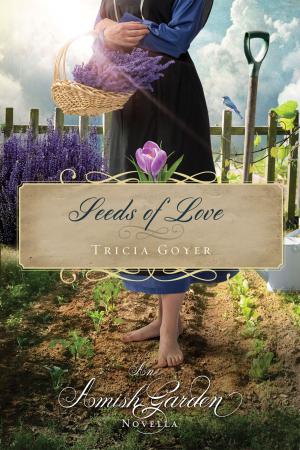 Cover of the book Seeds of Love by Vicki Courtney
