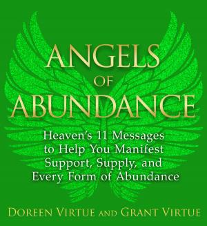 Cover of the book Angels of Abundance by Torsten Lange