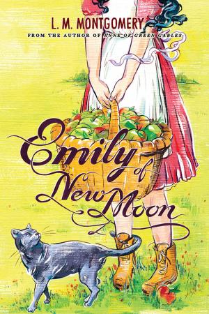 Cover of the book Emily of New Moon by Stephanie Wittels Wachs