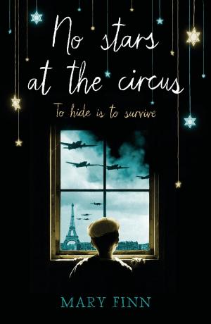Cover of the book No Stars at the Circus by Megan McDonald