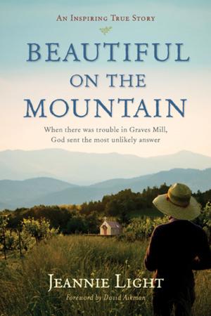 Cover of the book Beautiful on the Mountain by Dandi Daley Mackall