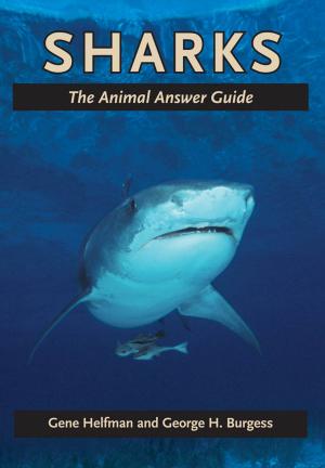 Cover of the book Sharks by John E. Reynolds III