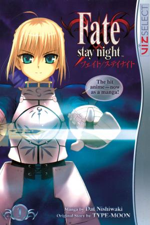 Book cover of Fate/stay night, Vol. 1