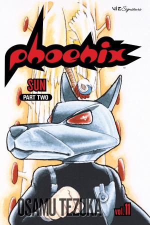Cover of the book Phoenix, Vol. 11 by Taiyo Matsumoto