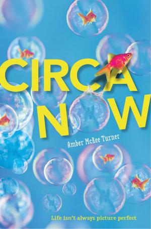 Cover of the book Circa Now by Rob Renzetti, Rachel Vine