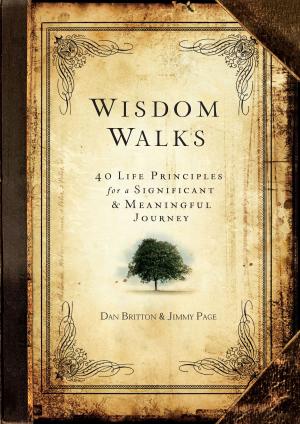 Cover of the book WisdomWalks by Danita Bye