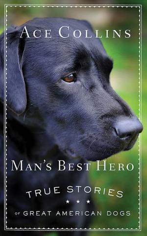 Book cover of Man's Best Hero