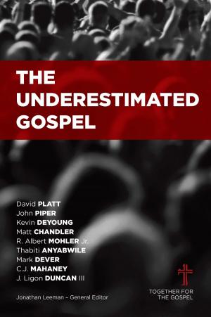 Cover of the book The Underestimated Gospel by Knute Larson
