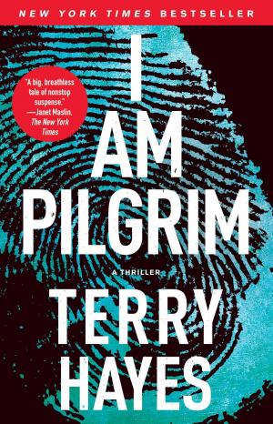 Cover of the book I Am Pilgrim by Jamie McGuire