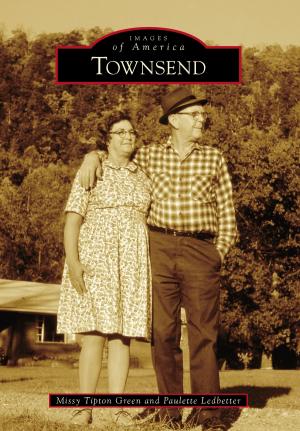 Cover of the book Townsend by Robert Bloomberg, Daniel Bird