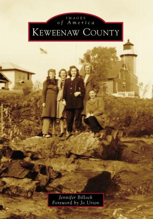 Cover of the book Keweenaw County by Tony Olinger
