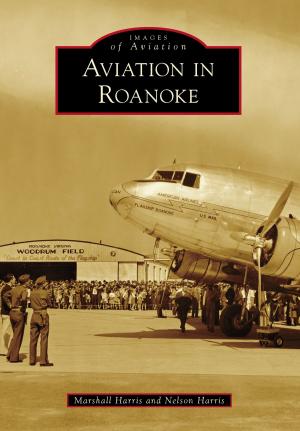 Cover of the book Aviation in Roanoke by Ryan Wieber, Sandy Stamm