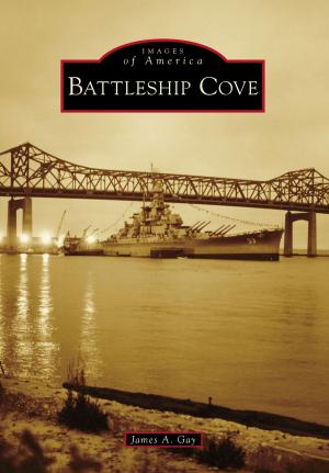 Cover of the book Battleship Cove by Jonathan Kruk