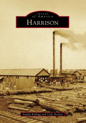 Cover of the book Harrison by Korral Broschinsky